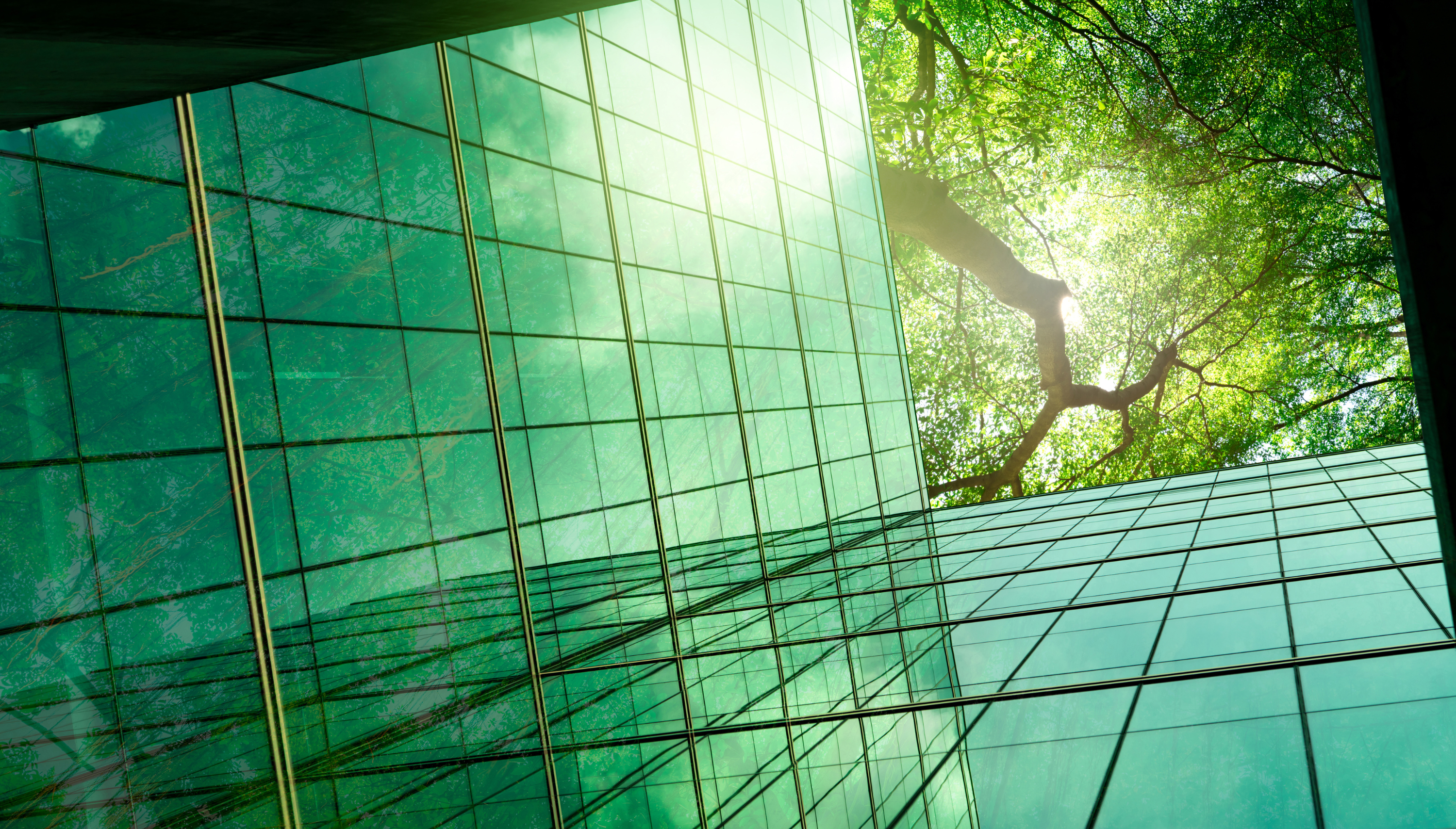 CRE Sustainability Mandates you Need to Know for 2023